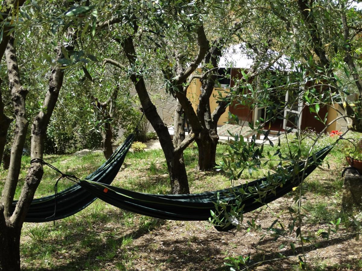 Poggio House, Tranquillita E Comfort Nella Natura San Casciano in Val di Pesa Luaran gambar