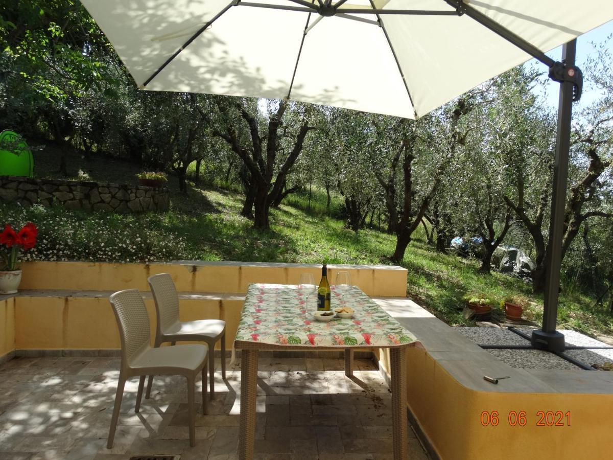 Poggio House, Tranquillita E Comfort Nella Natura San Casciano in Val di Pesa Luaran gambar