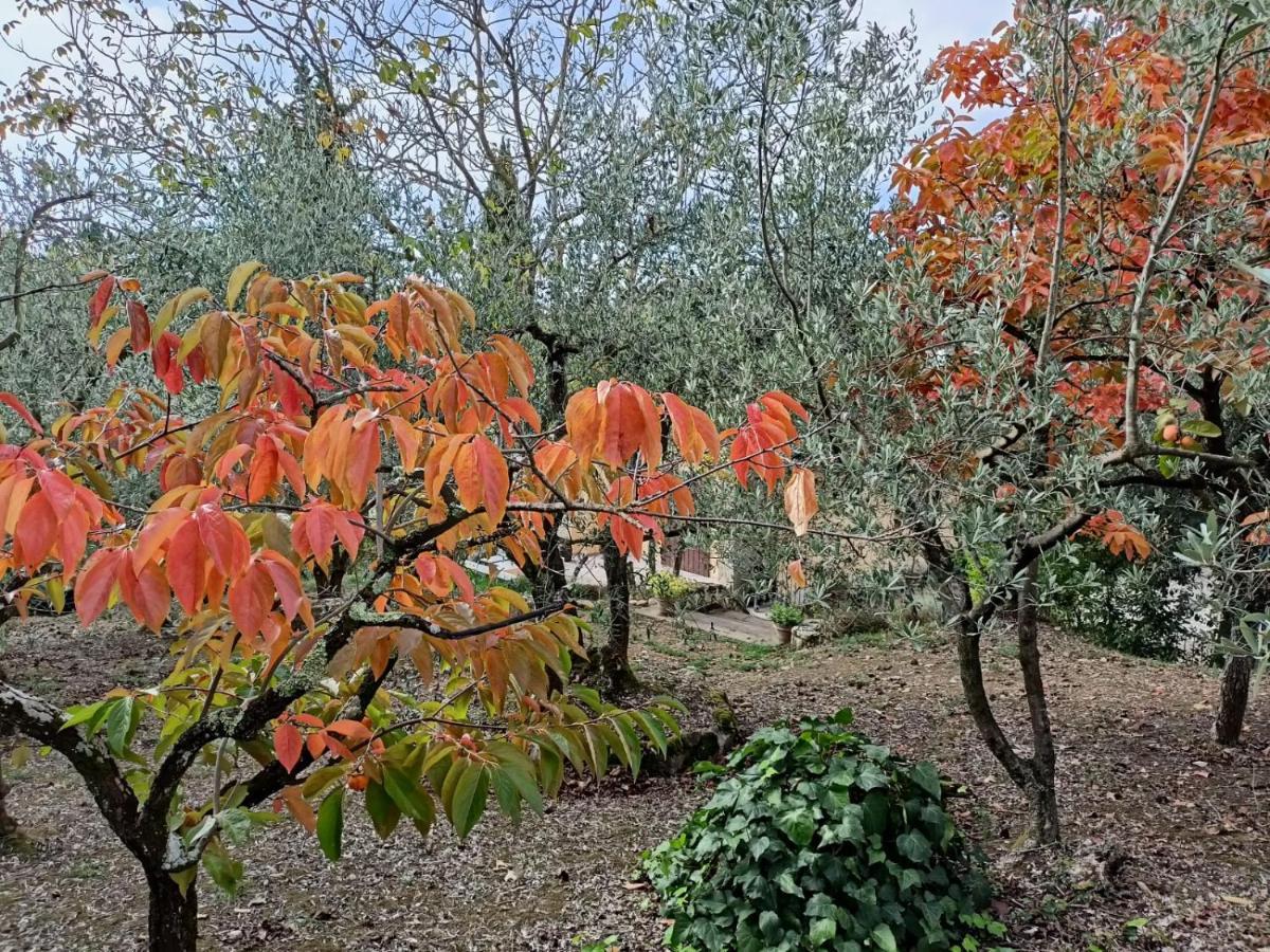 Poggio House, Tranquillita E Comfort Nella Natura San Casciano in Val di Pesa Luaran gambar