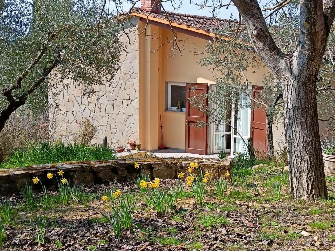 Poggio House, Tranquillita E Comfort Nella Natura San Casciano in Val di Pesa Luaran gambar