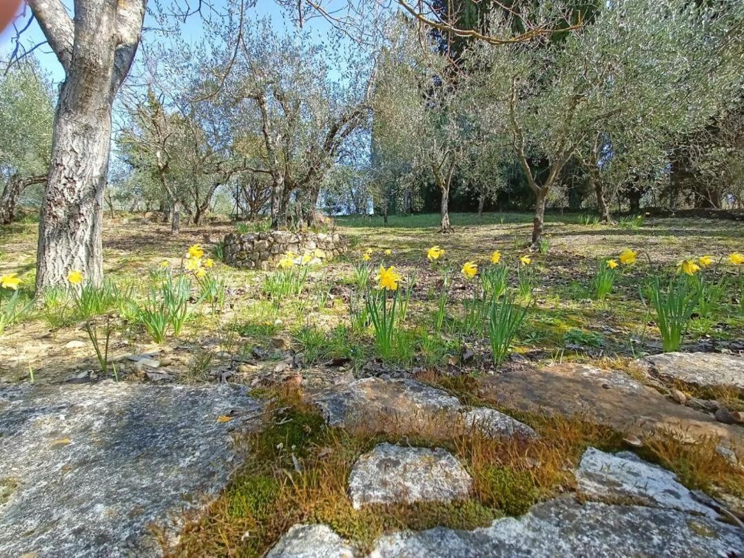 Poggio House, Tranquillita E Comfort Nella Natura San Casciano in Val di Pesa Luaran gambar